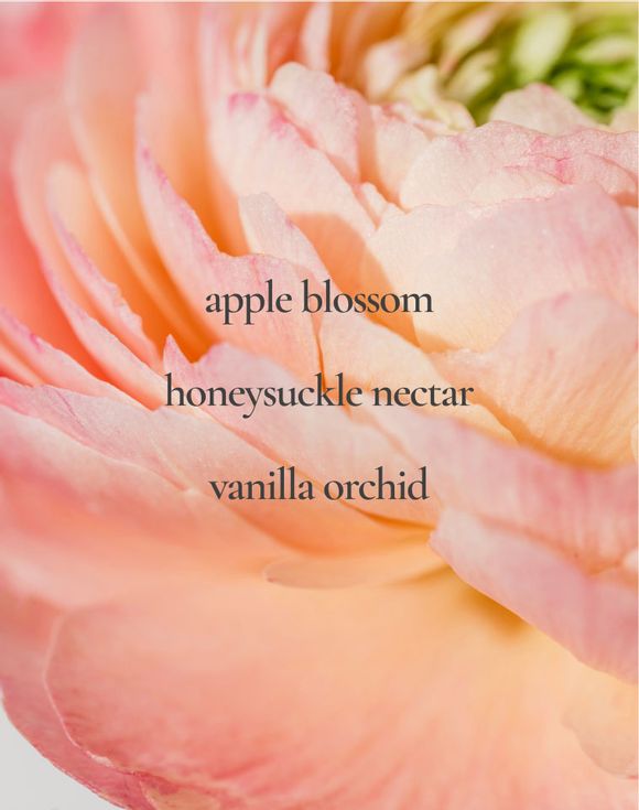 LYRD Honeysuckle Blossom Eau de Parfum