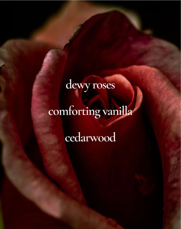 LYRD Vanilla Rose Eau de Parfum