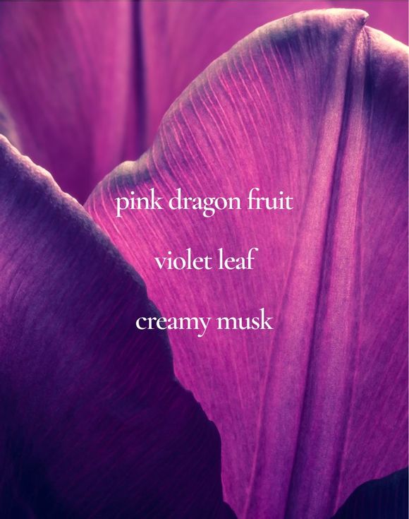 Live Out Loud Guilt Free Body Cream