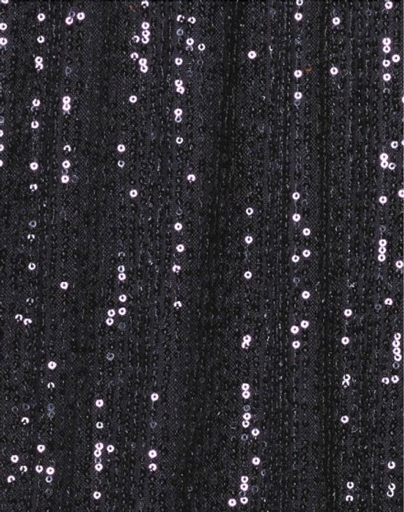 Sequin Sleeve Top