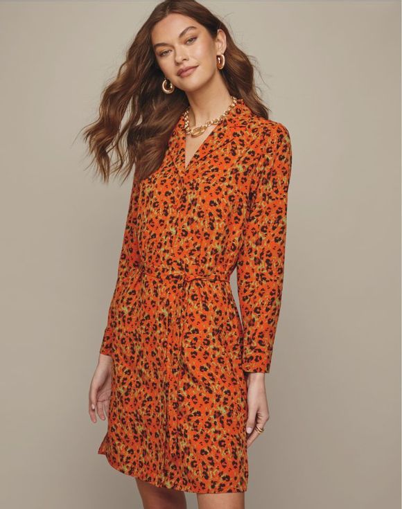 Animal Print Dress