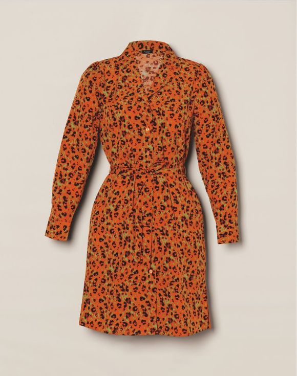 Animal Print Dress