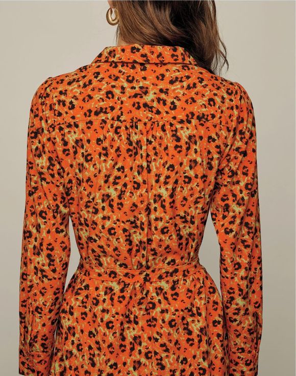 Animal Print Dress