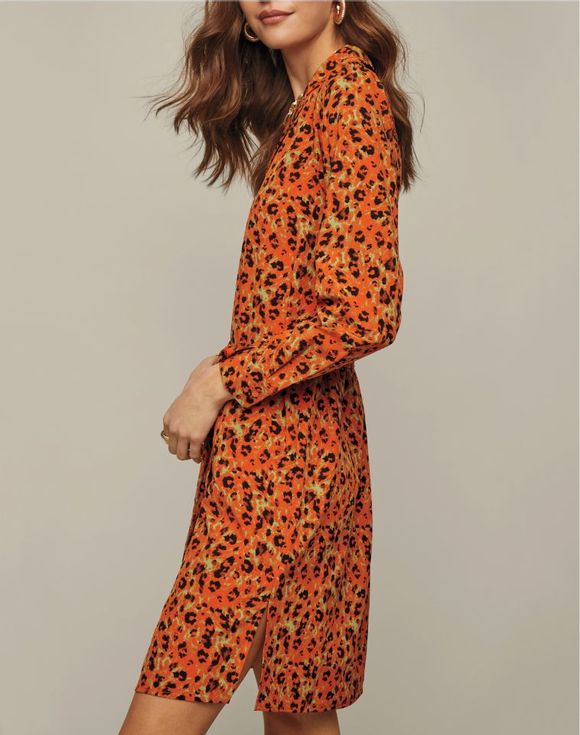 Animal Print Dress